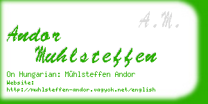 andor muhlsteffen business card